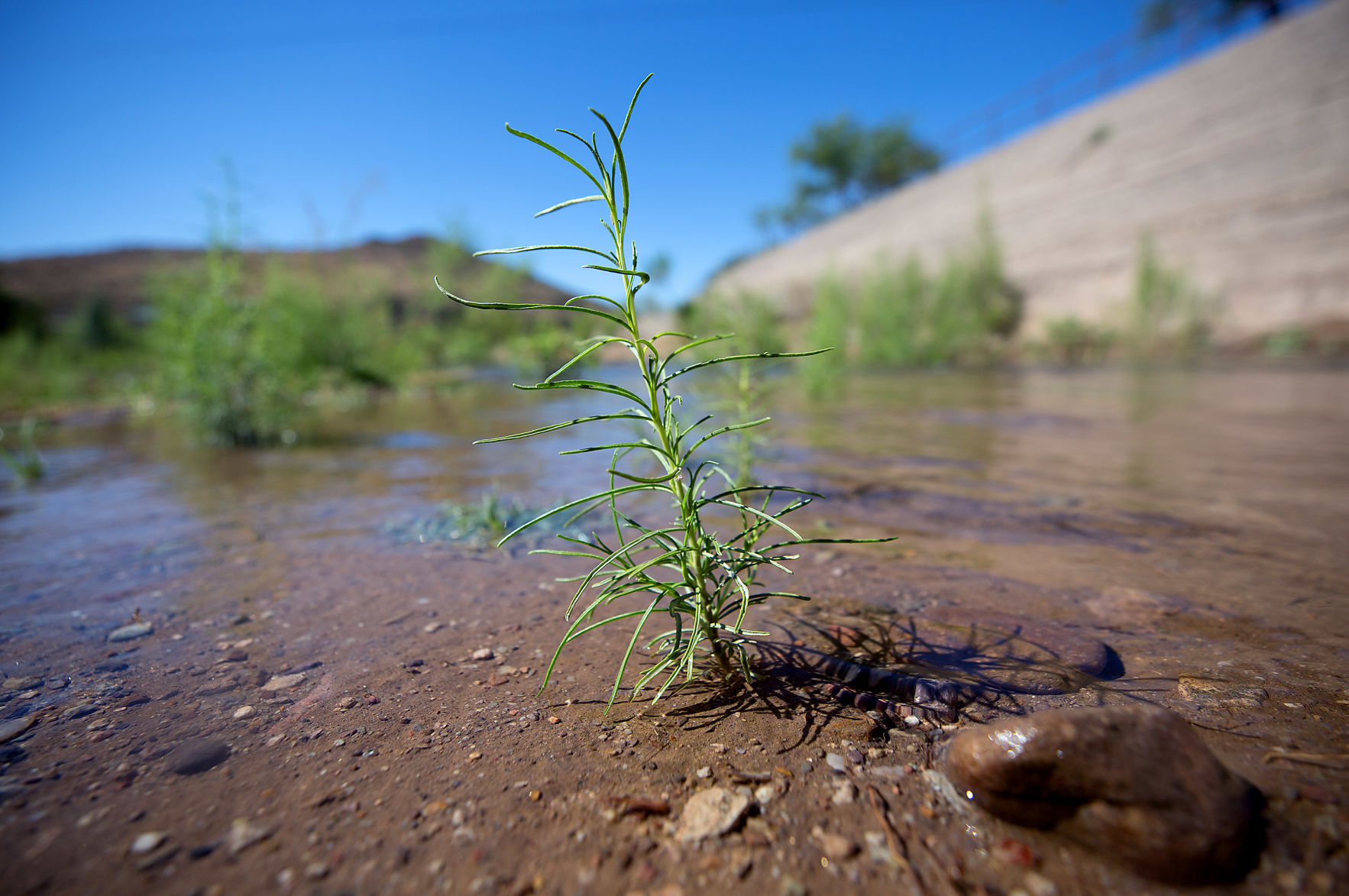 Santa Cruz River Heritage Project
